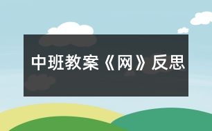 中班教案《網(wǎng)》反思