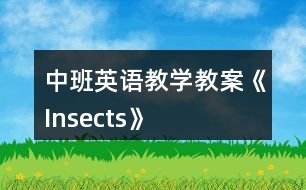 中班英語教學教案《Insects》