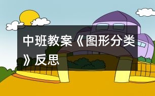 中班教案《圖形分類》反思