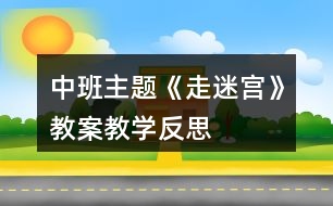 中班主題《走迷宮》教案教學反思