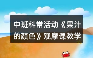 中班科?；顒?dòng)《果汁的顏色》觀摩課教學(xué)設(shè)計(jì)