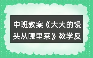 中班教案《大大的饅頭從哪里來(lái)》教學(xué)反思