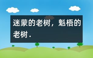 迷蒙的老樹，魁梧的老樹．