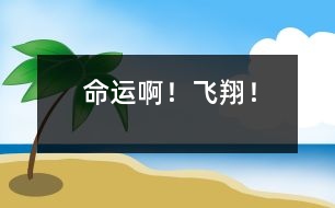 命運(yùn)??！飛翔！