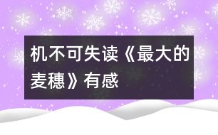 機不可失——讀《最大的麥穗》有感