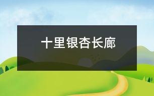 十里銀杏長廊