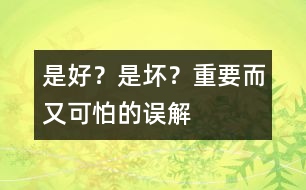 是好？是壞？——重要而又可怕的誤解