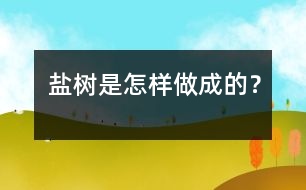 鹽樹是怎樣做成的？