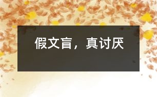 假文盲，真討厭