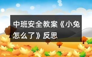 中班安全教案《小兔怎么了》反思