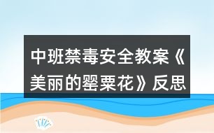 中班禁毒安全教案《美麗的罌粟花》反思