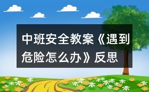 中班安全教案《遇到危險怎么辦》反思