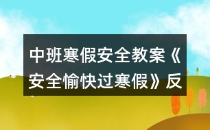 中班寒假安全教案《安全愉快過(guò)寒假》反思