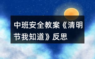 中班安全教案《清明節(jié)我知道》反思