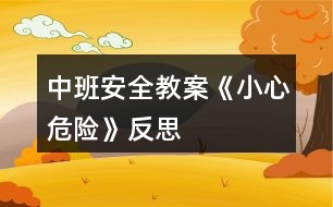 中班安全教案《小心危險(xiǎn)》反思