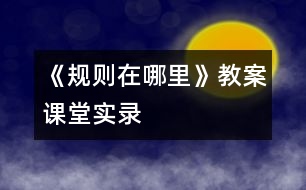 《規(guī)則在哪里》教案課堂實錄