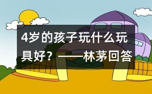 4歲的孩子玩什么玩具好？――林茅回答