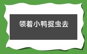 領(lǐng)著小鴨捉蟲去