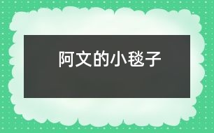 阿文的小毯子