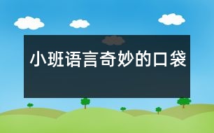 小班語言：奇妙的口袋