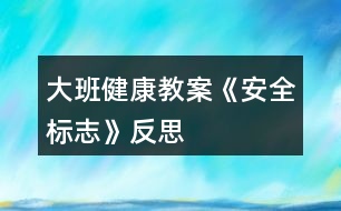 大班健康教案《安全標志》反思