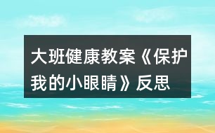 大班健康教案《保護我的小眼睛》反思