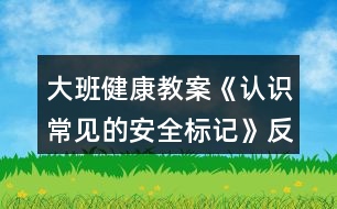 大班健康教案《認(rèn)識(shí)常見的安全標(biāo)記》反思