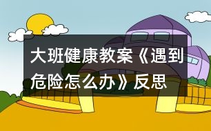 大班健康教案《遇到危險怎么辦》反思