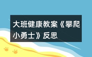 大班健康教案《攀爬小勇士》反思