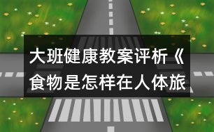 大班健康教案評(píng)析《食物是怎樣在人體旅行的》反思