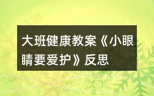 大班健康教案《小眼睛要愛護(hù)》反思