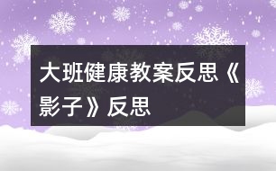 大班健康教案反思《影子》反思