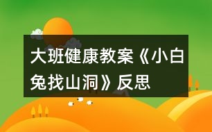 大班健康教案《小白兔找山洞》反思