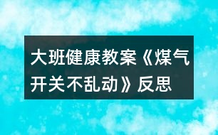 大班健康教案《煤氣開(kāi)關(guān)不亂動(dòng)》反思