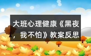 大班心理健康《黑夜，我不怕》教案反思