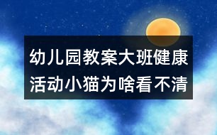 幼兒園教案大班健康活動小貓為啥看不清預(yù)防近視反思