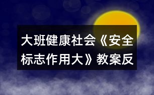 大班健康社會(huì)《安全標(biāo)志作用大》教案反思