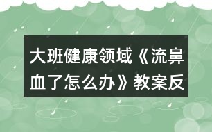 大班健康領(lǐng)域《流鼻血了怎么辦》教案反思