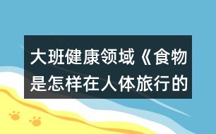 大班健康領域《食物是怎樣在人體旅行的》教案反思