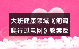 大班健康領(lǐng)域《匍匐爬行過(guò)電網(wǎng)》教案反思