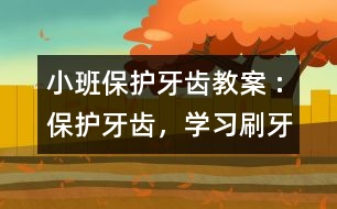 小班保護牙齒教案 :保護牙齒，學習刷牙