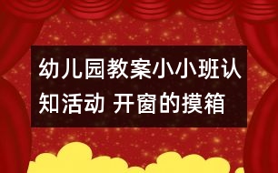 幼兒園教案小小班認(rèn)知活動(dòng) 開(kāi)窗的摸箱