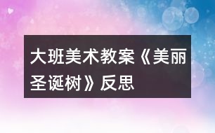 大班美術教案《美麗圣誕樹》反思