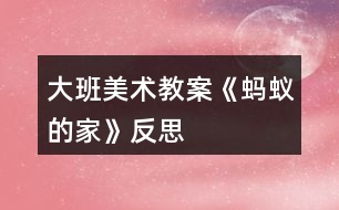 大班美術教案《螞蟻的家》反思