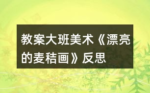 教案大班美術(shù)《漂亮的麥秸畫》反思