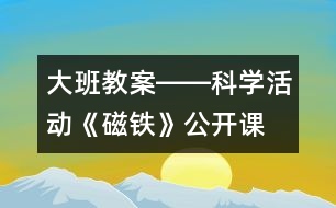 大班教案――科學(xué)活動(dòng)《磁鐵》（公開課）