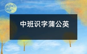 中班識(shí)字：蒲公英