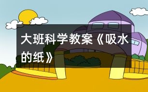 大班科學(xué)教案《吸水的紙》