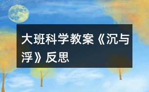 大班科學教案《沉與浮》反思