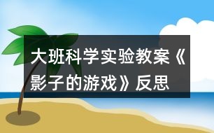 大班科學(xué)實(shí)驗(yàn)教案《影子的游戲》反思